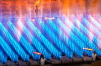 Fassfern gas fired boilers